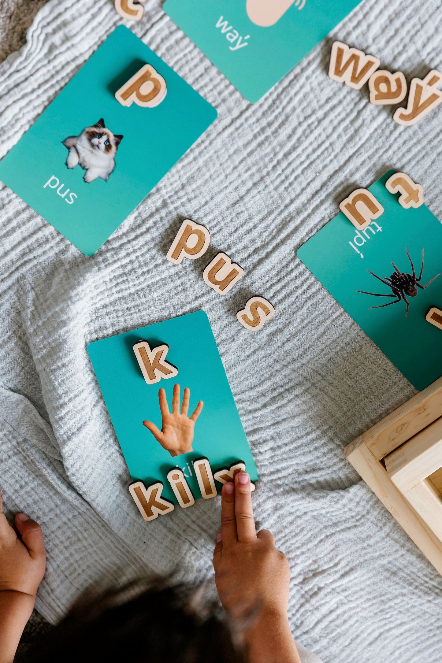 Living Language Alphabet - Customizable