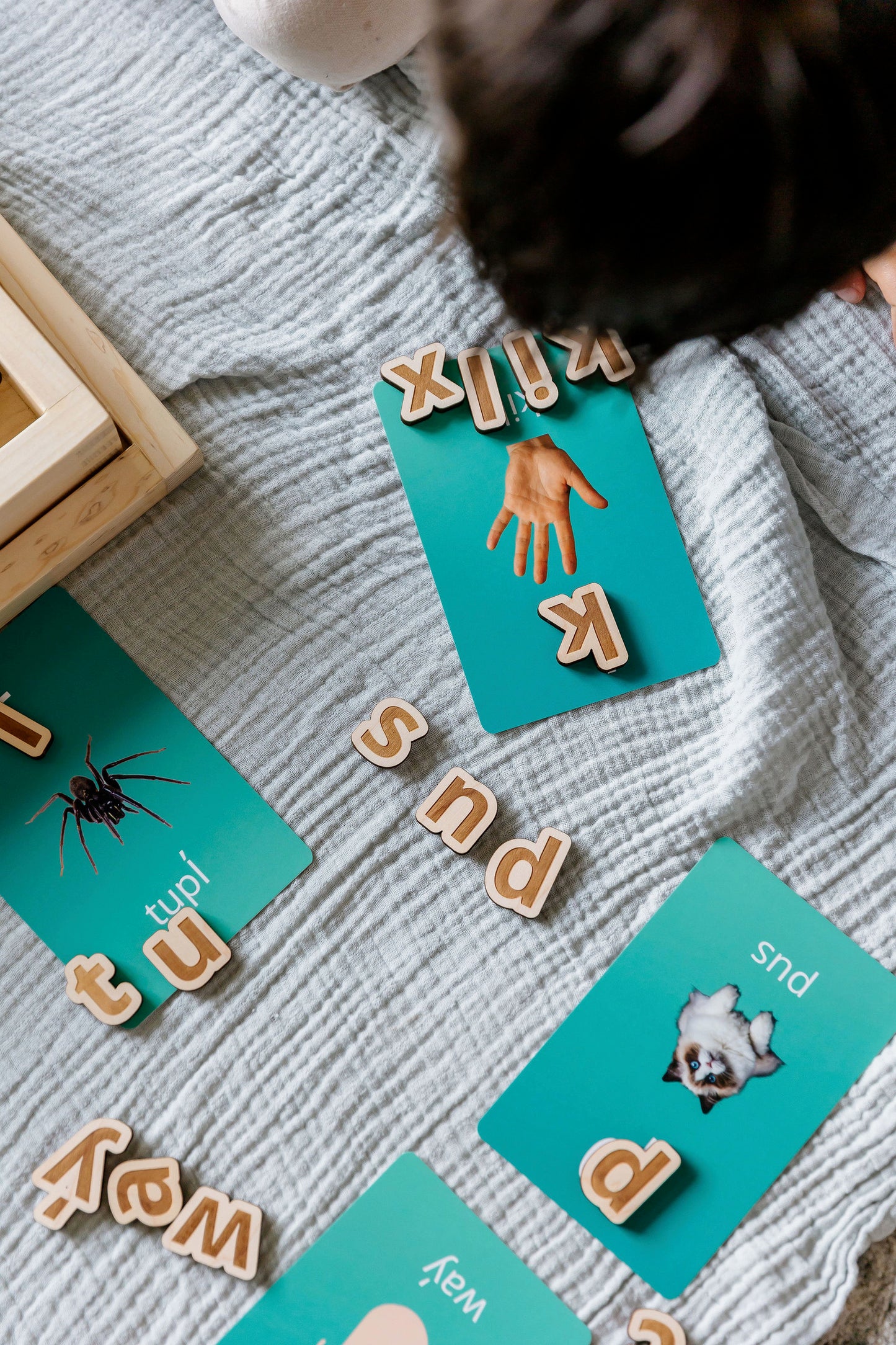 Living Language Alphabet - Customizable