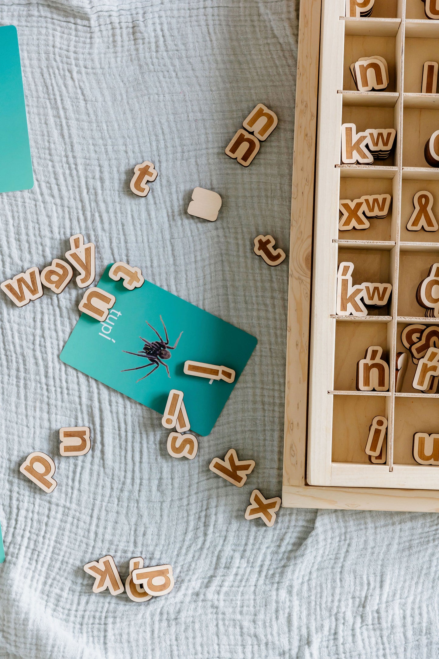 Living Language Alphabet - Customizable
