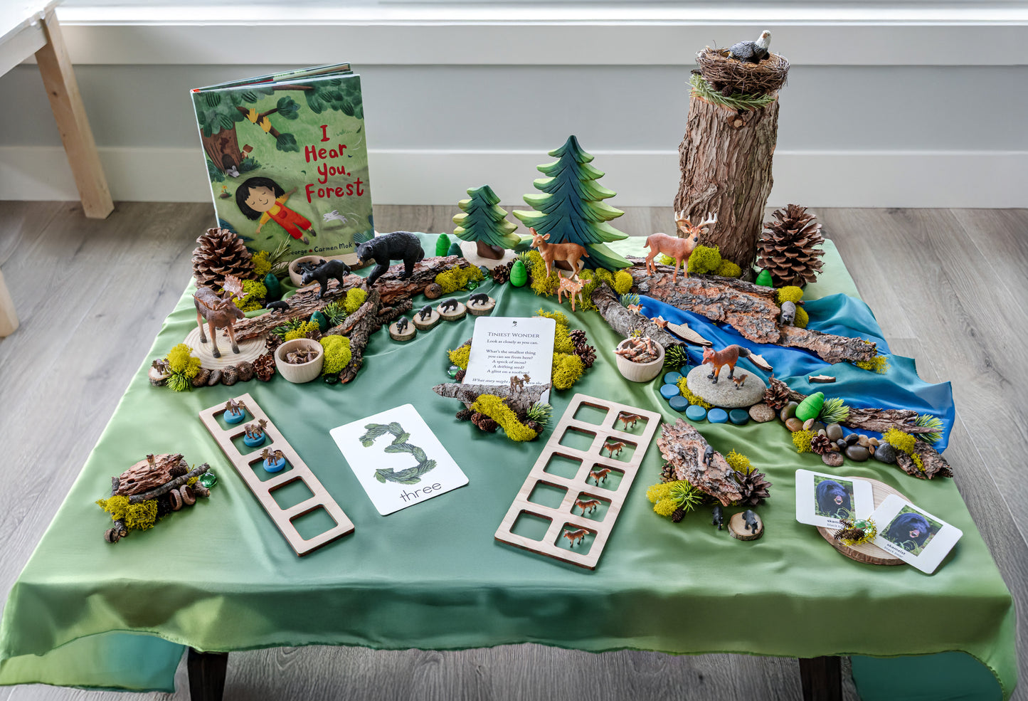 Forest Invitation to Play