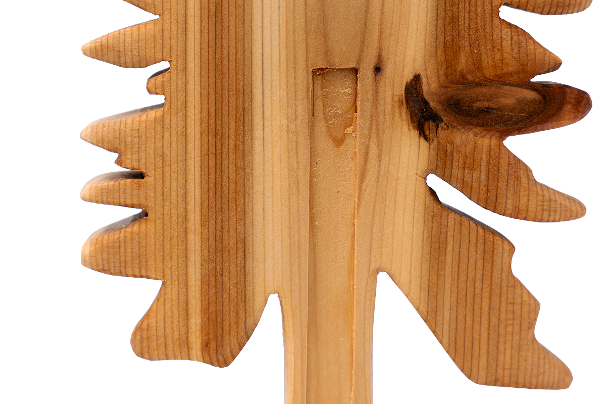 Cedar Tree - Cedar Bark Pulling