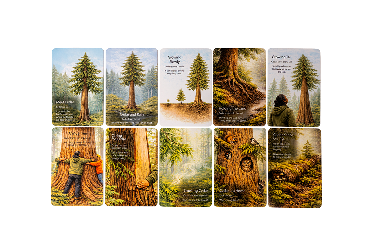 'With Cedar' Card Set