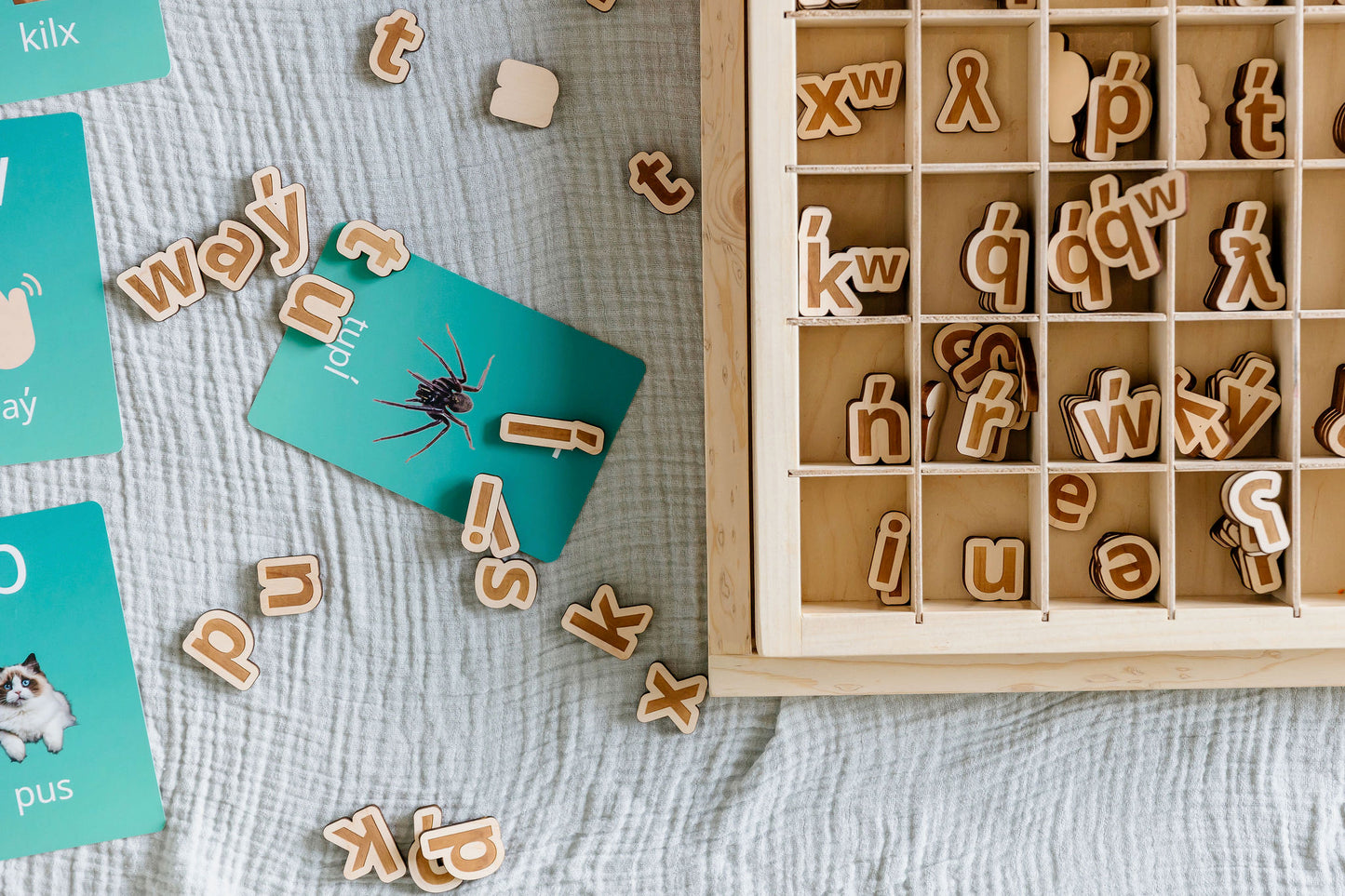 Living Language Foundations | Living Language Alphabet