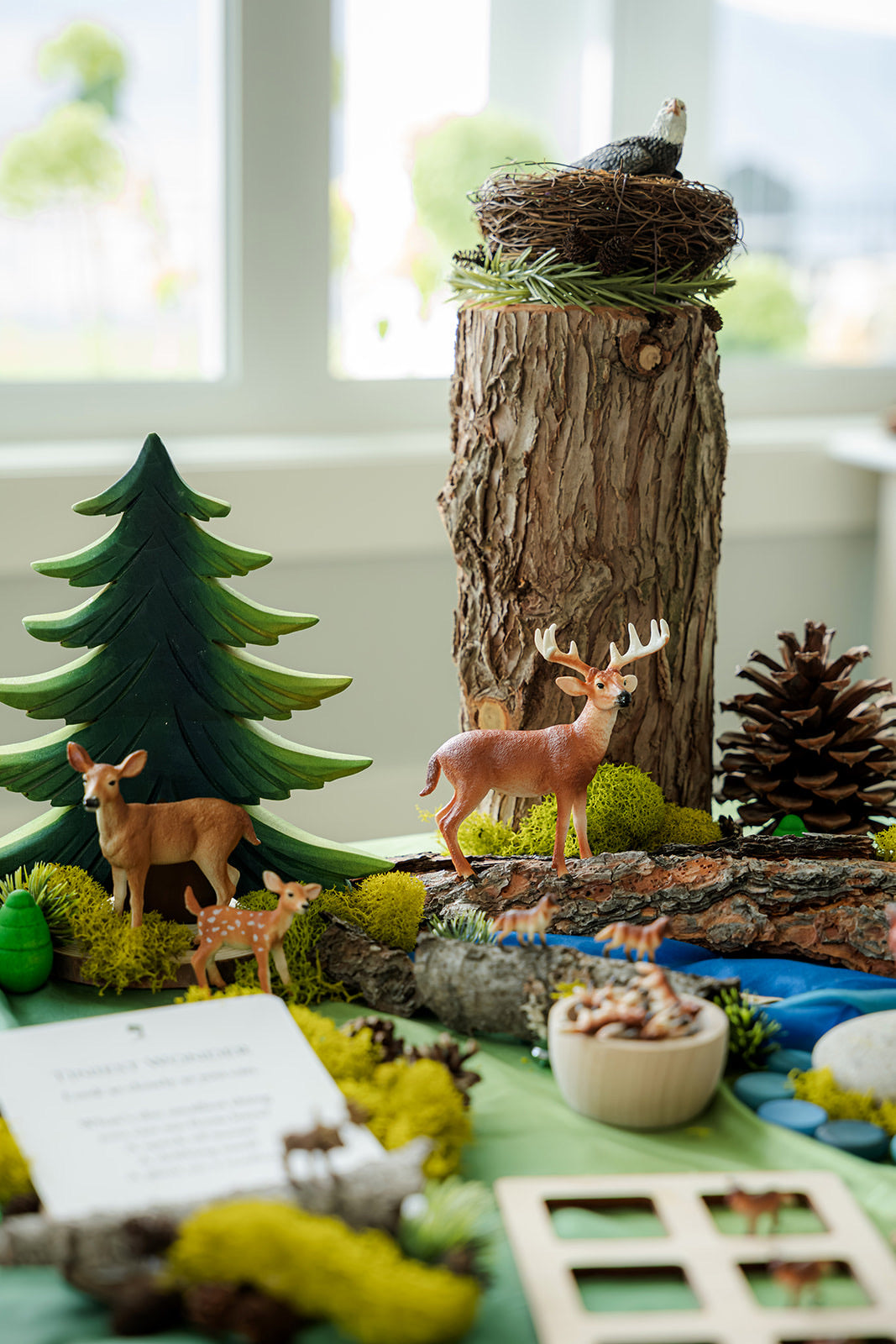 Forest Invitation to Play | A Framework for Living Curriculum