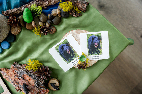 Forest Invitation to Play