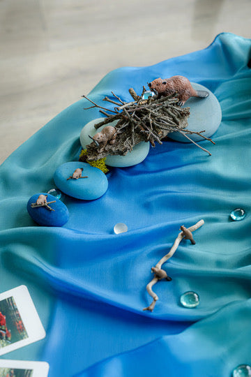 Freshwater Invitation to Play | A Framework for Living Curriculum