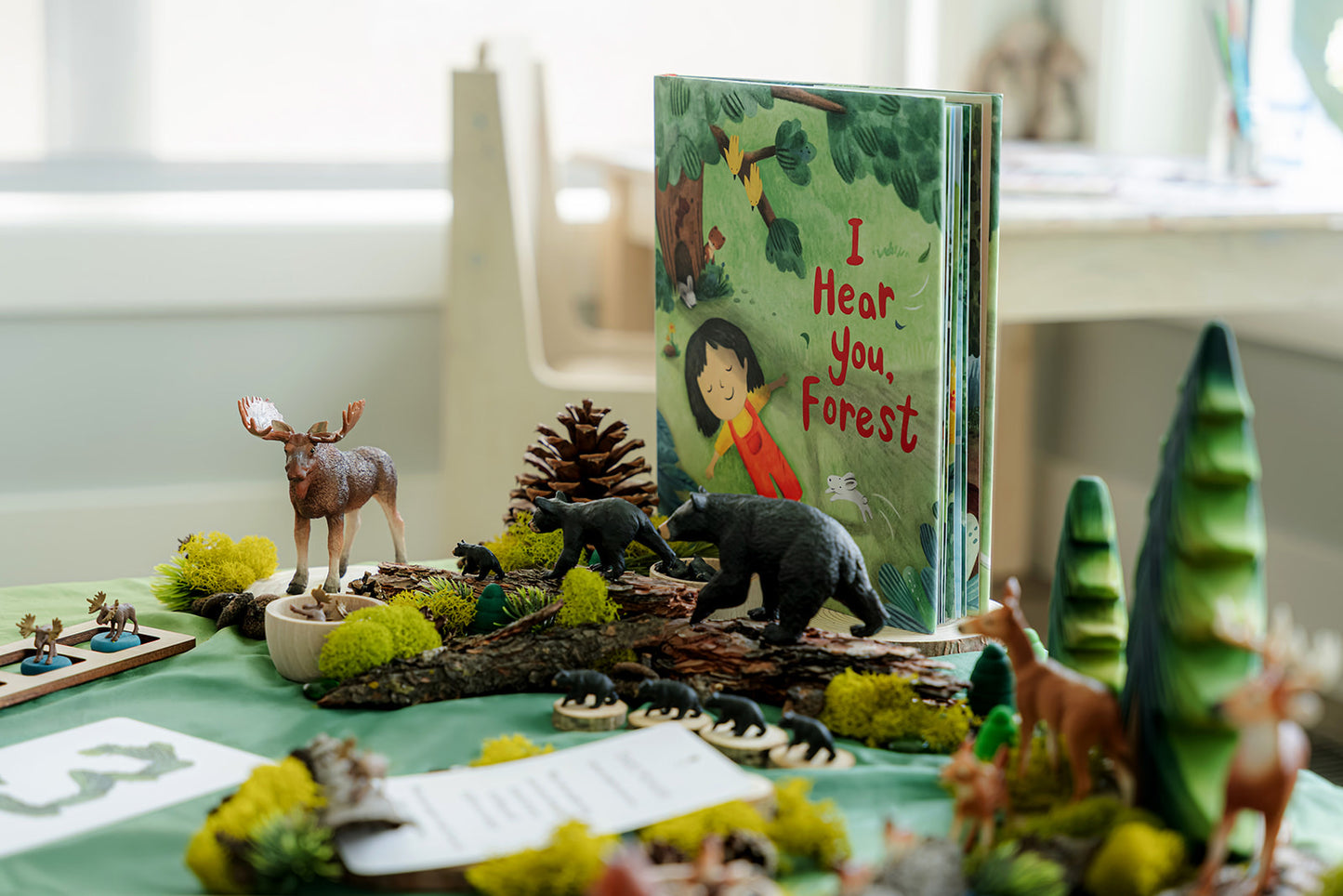 Forest Invitation to Play | A Framework for Living Curriculum