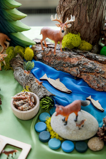 Forest Invitation to Play