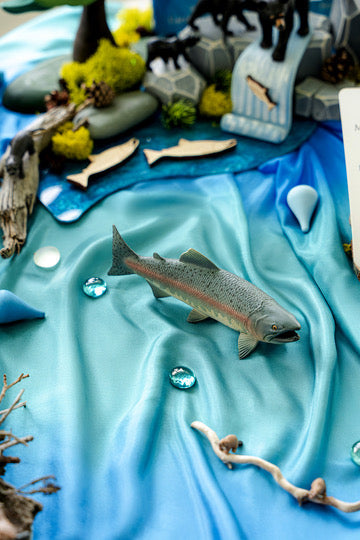 Freshwater Invitation to Play | A Framework for Living Curriculum