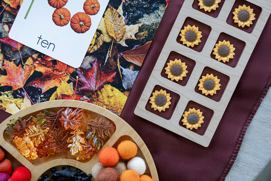 Fall Counting Collection