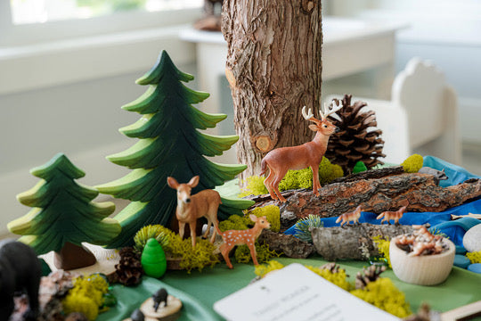 Forest Invitation to Play