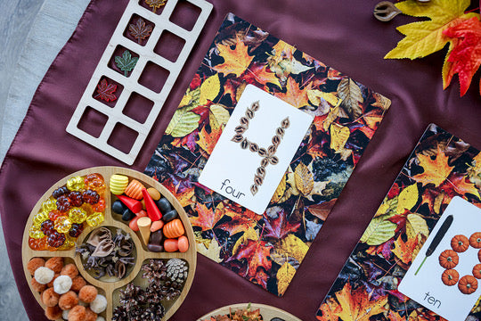 Fall Counting Collection
