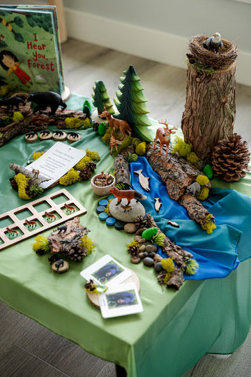 Forest Invitation to Play
