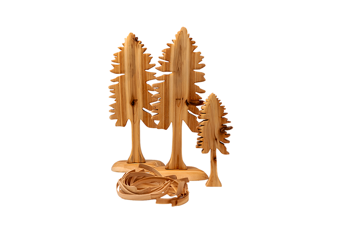 Cedar Tree Collection - Cedar Bark Pulling