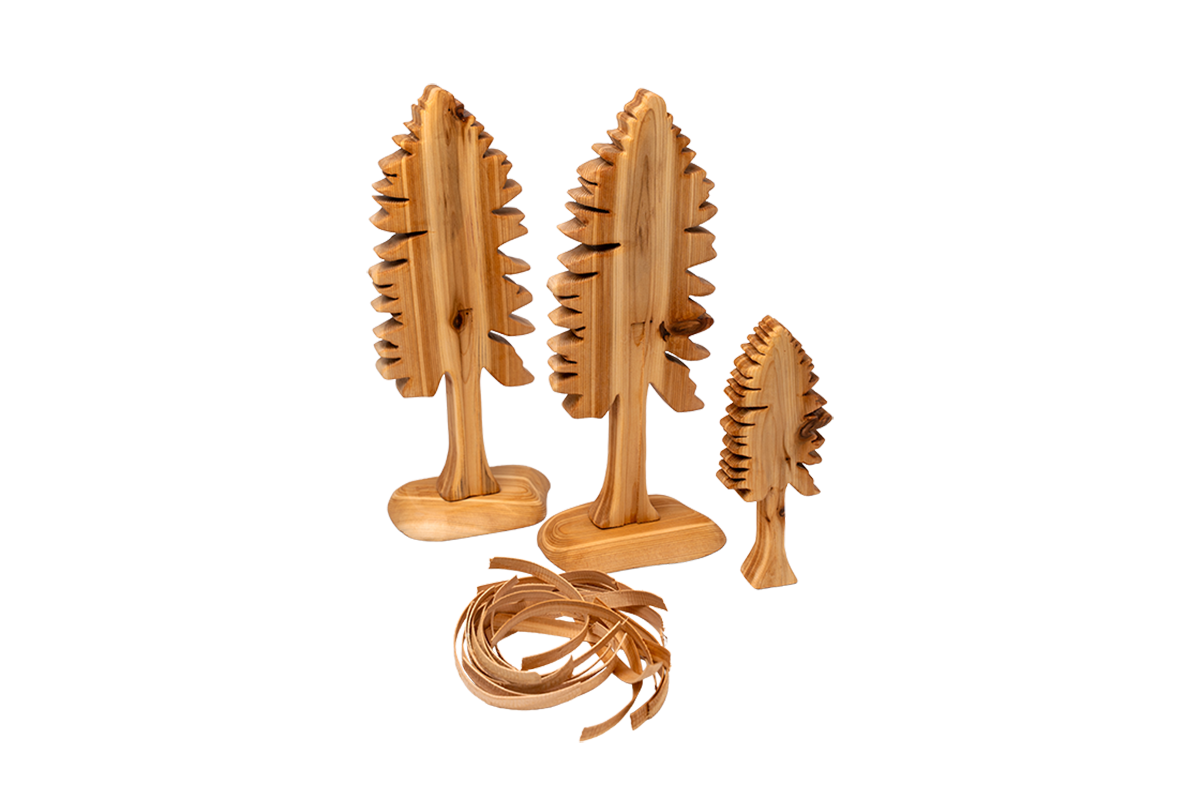 Cedar Tree Collection - Cedar Bark Pulling