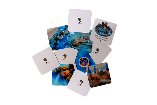 Coastal Matching Game Set