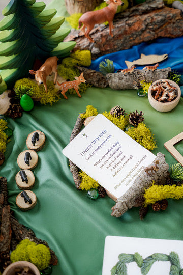 Forest Invitation to Play