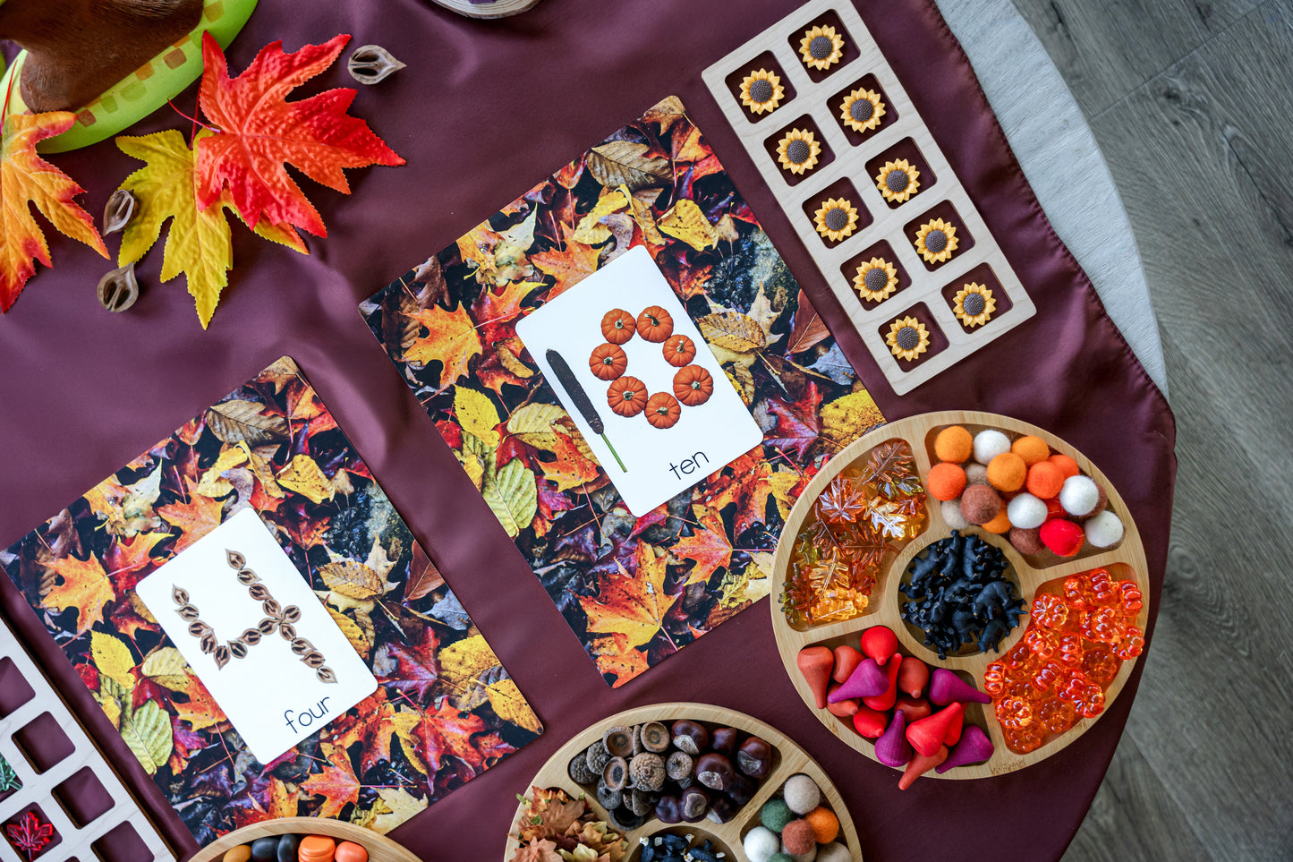 Fall Counting Collection