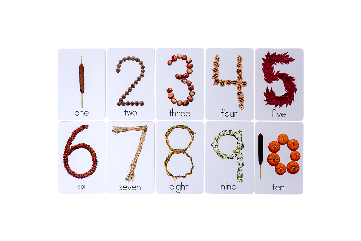 Fall 'Seasonal Numbers' Card Set