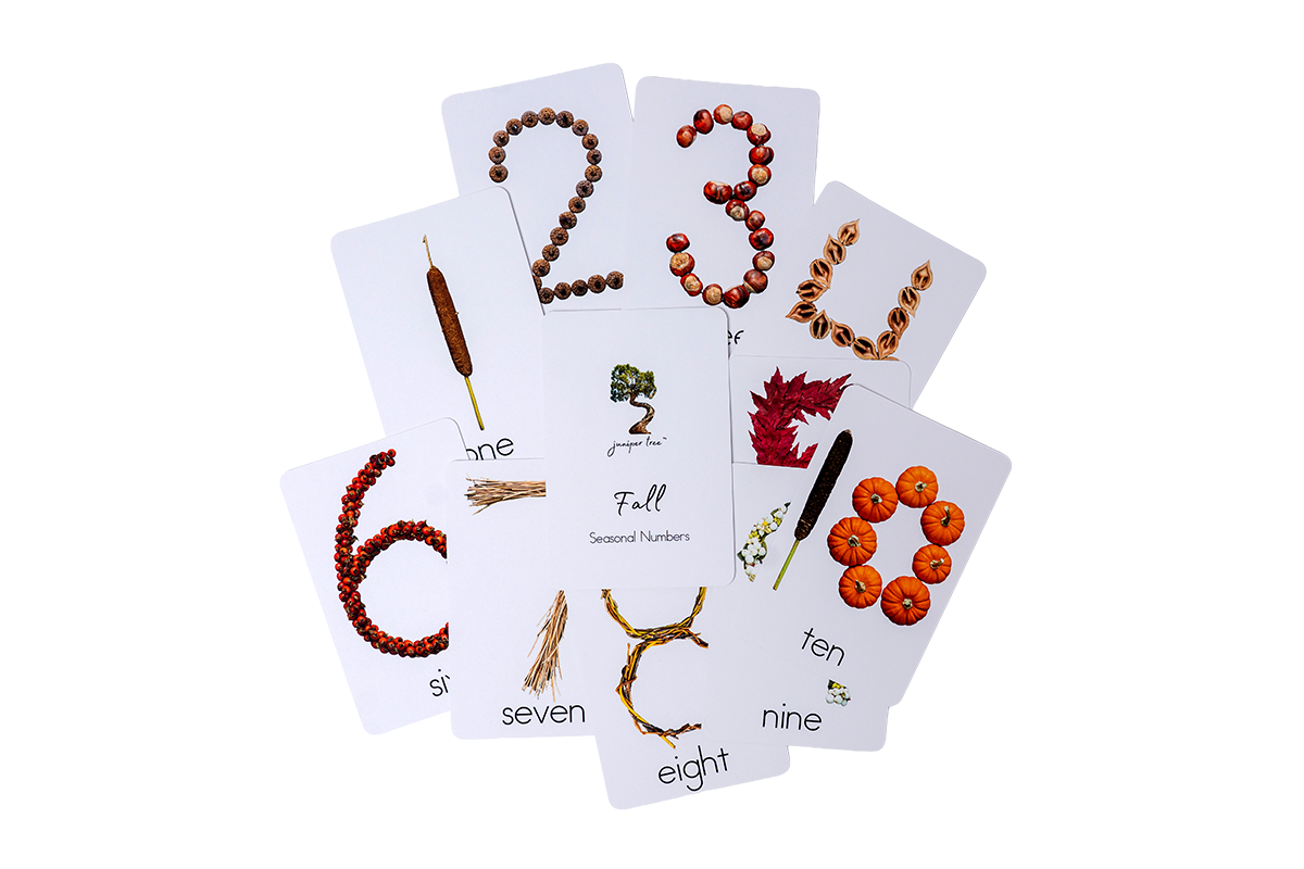 Living Language Foundations