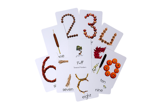 Fall Seasonal Number Cards