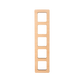5 Frame with Counting Collection
