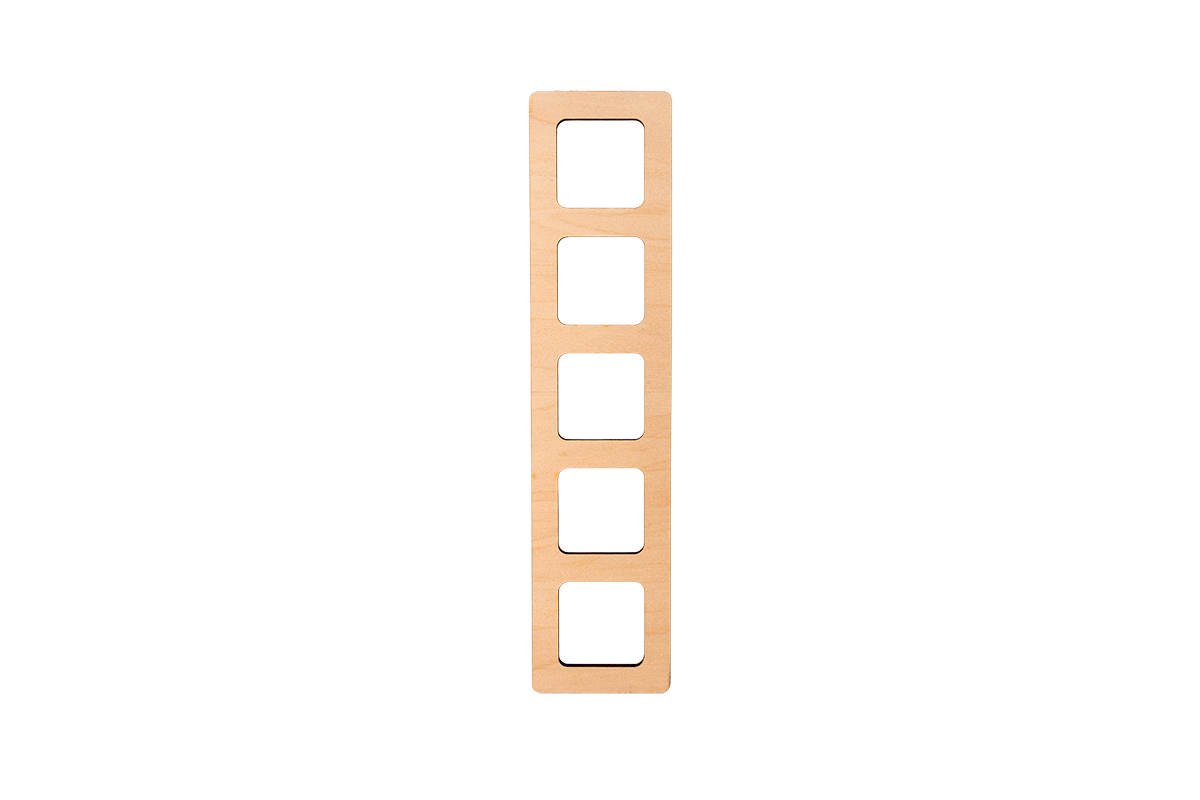 5 Frame with Counting Collection
