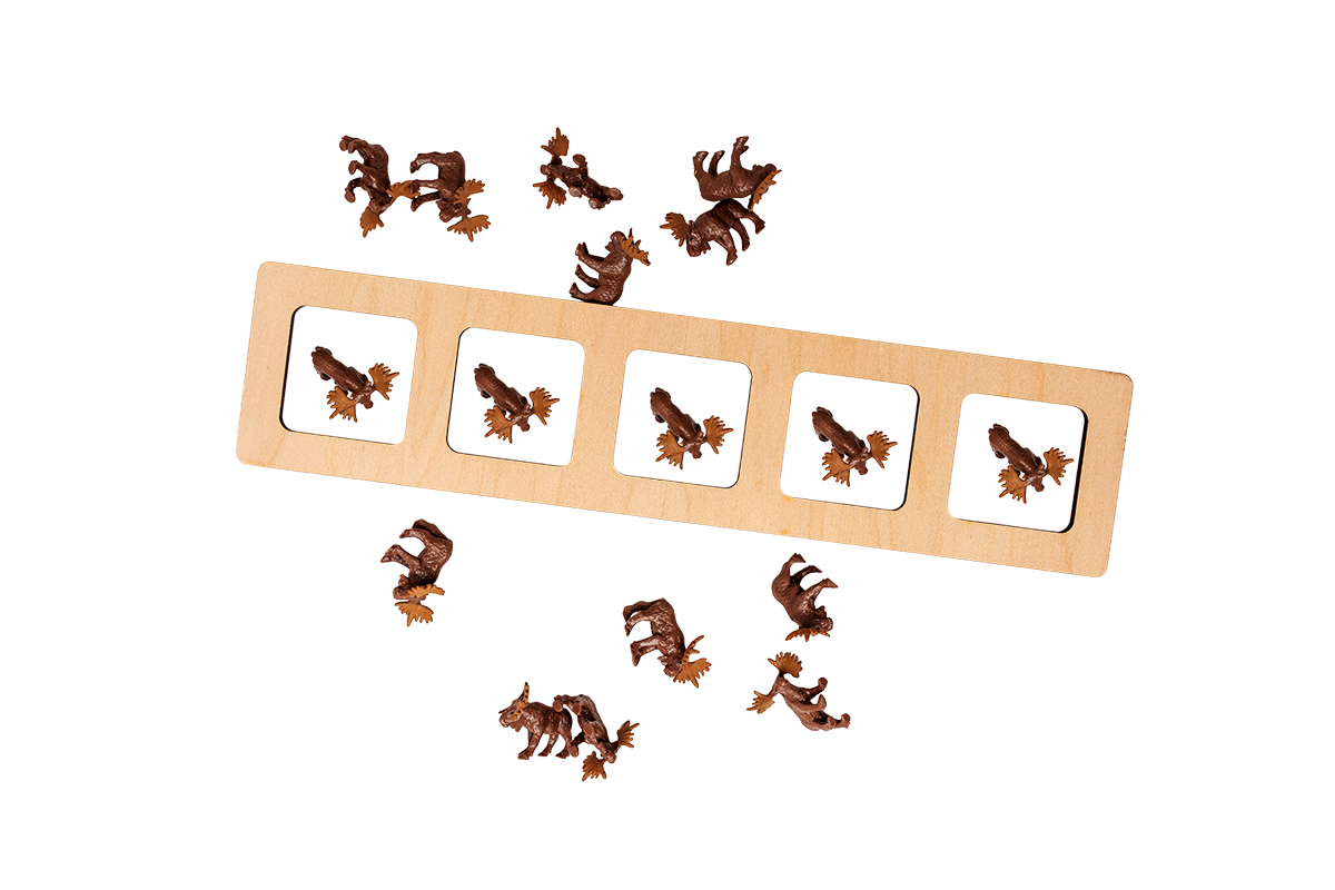 5 Frame with Counting Collection