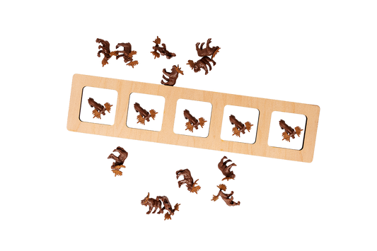 5 Frame with Counting Collection