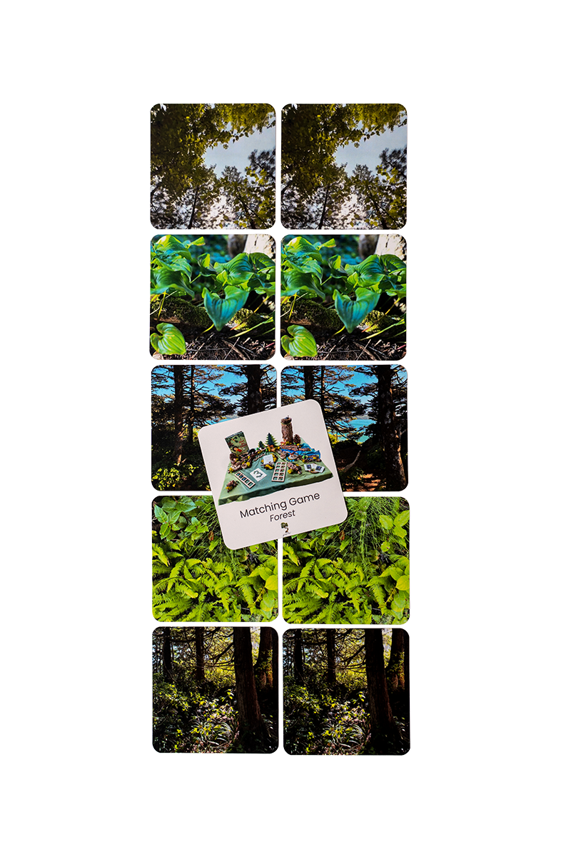 Forest Matching Game Set