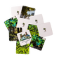 Forest Matching Game Set