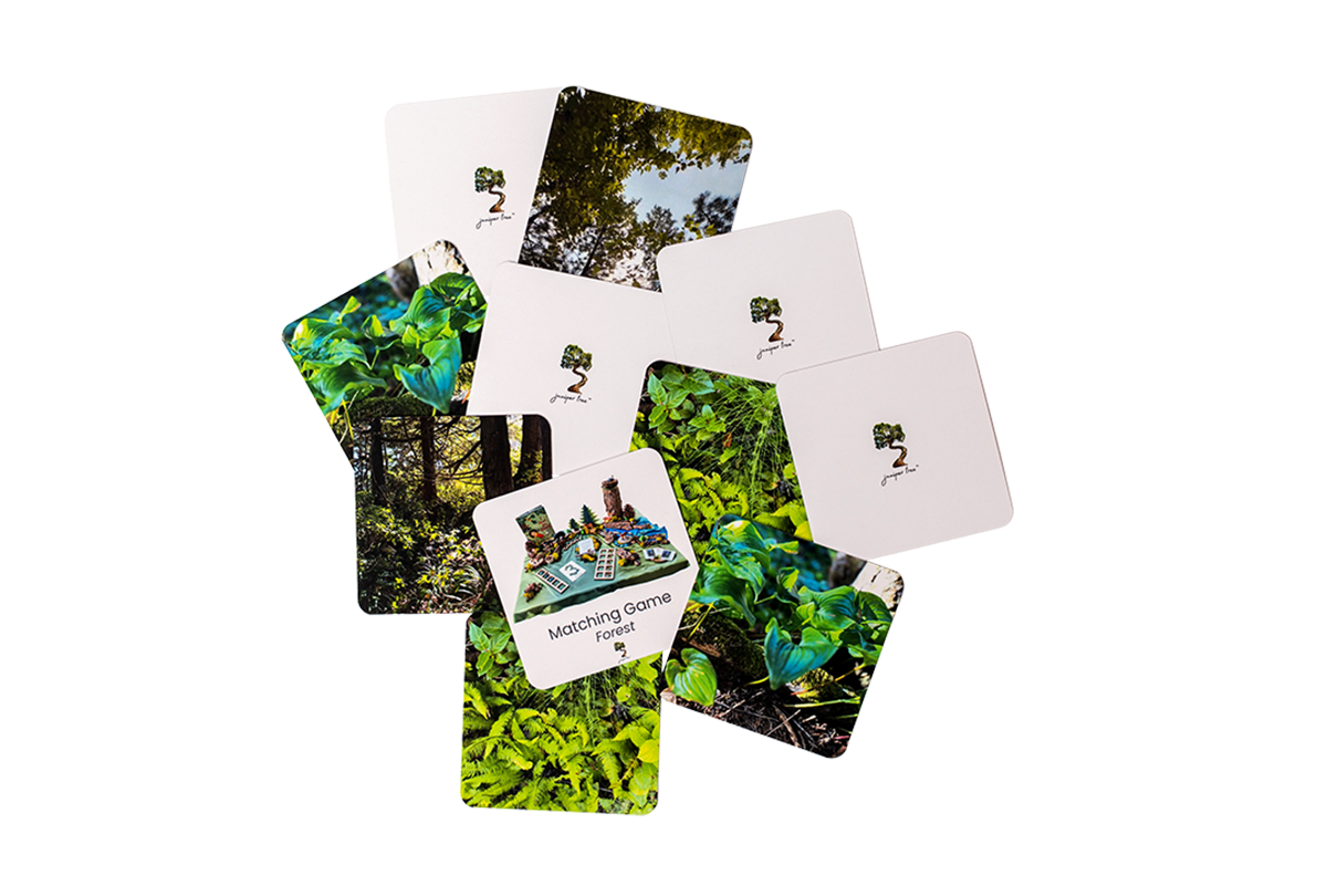 Forest Matching Game Set