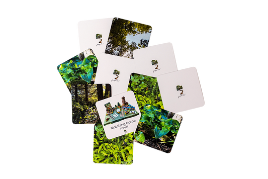Forest Matching Game Set