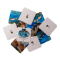 Freshwater Matching Game Set