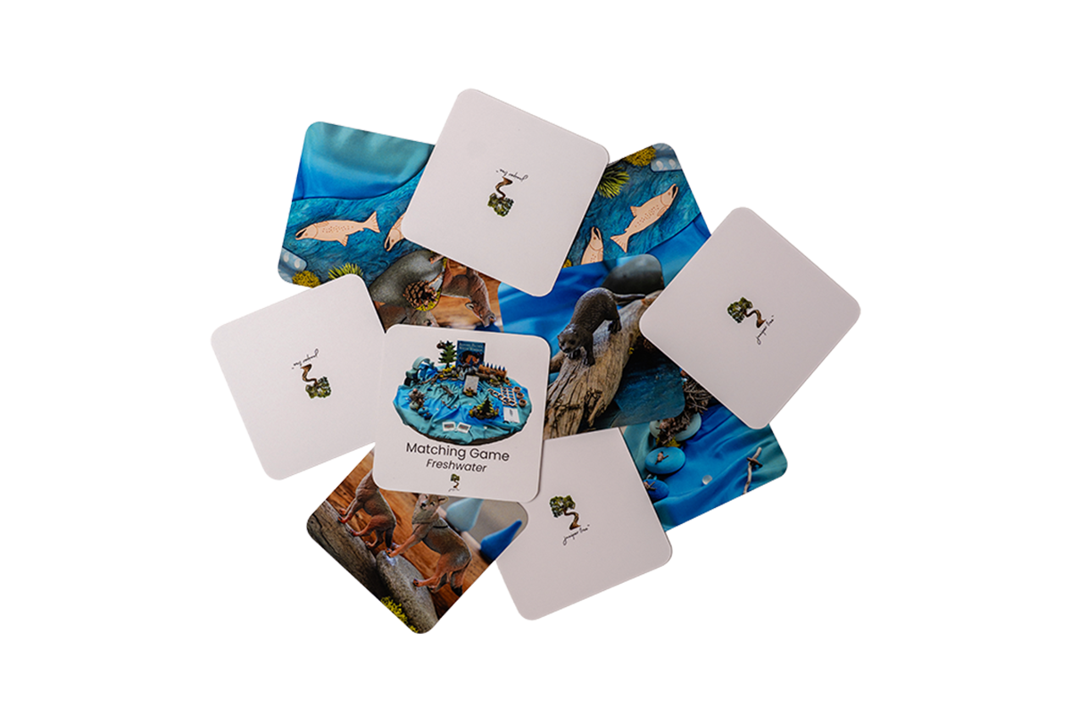 Freshwater Matching Game Set
