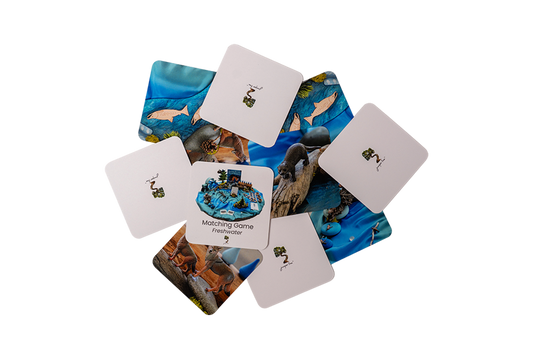 Salmon Lifecycle Matching Game Set