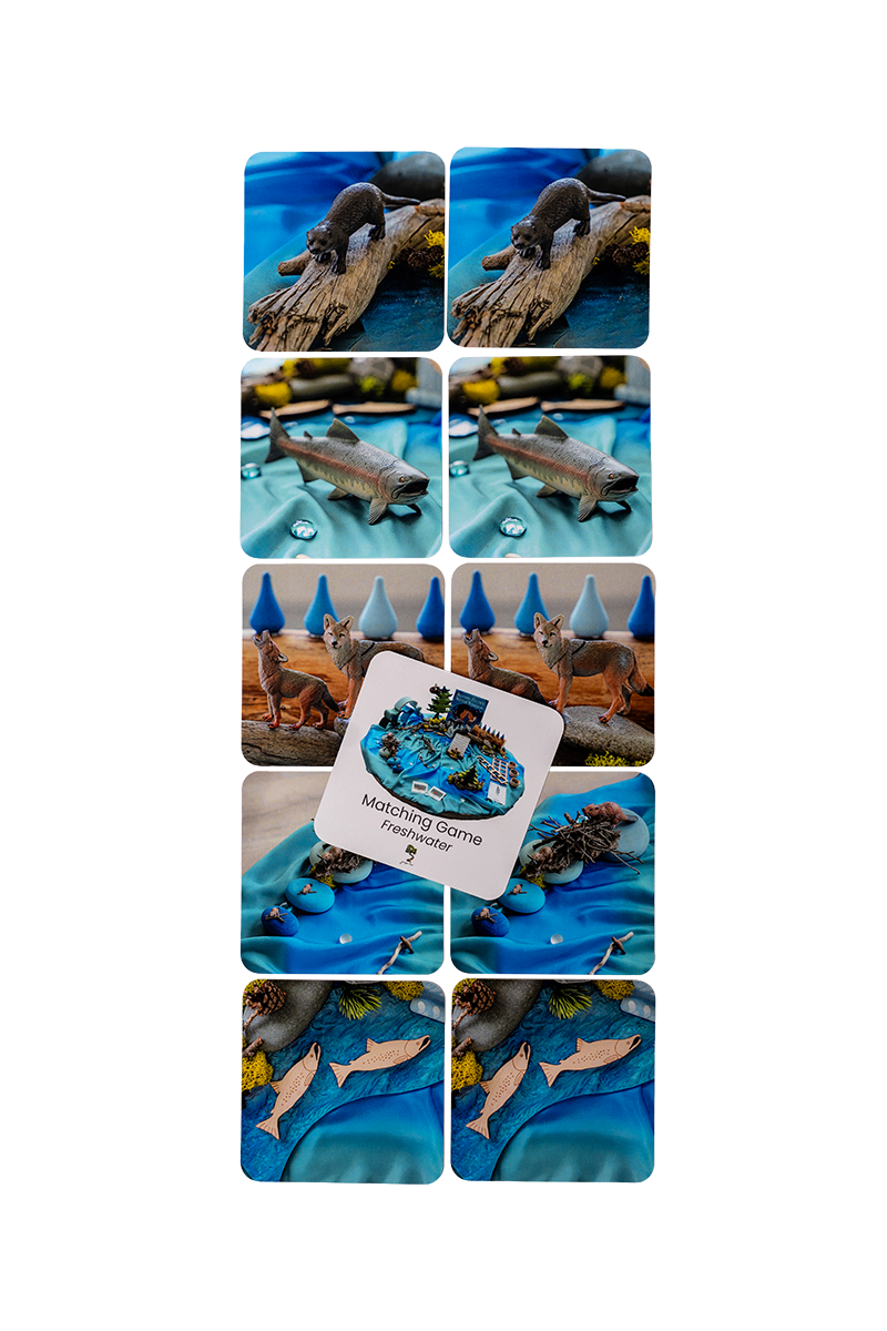 Freshwater Matching Game Set