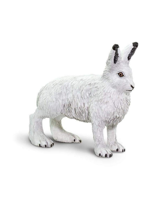 Arctic Hare