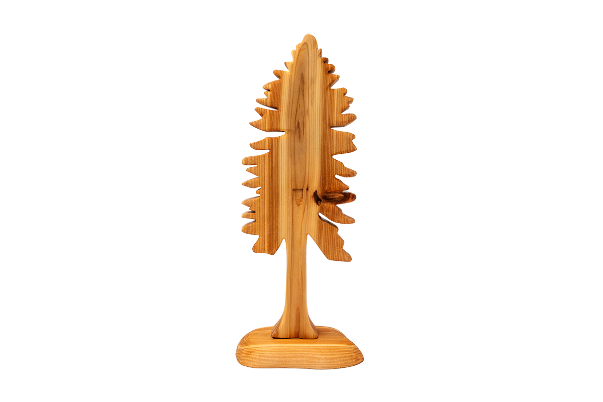 Cedar Tree - Cedar Bark Pulling