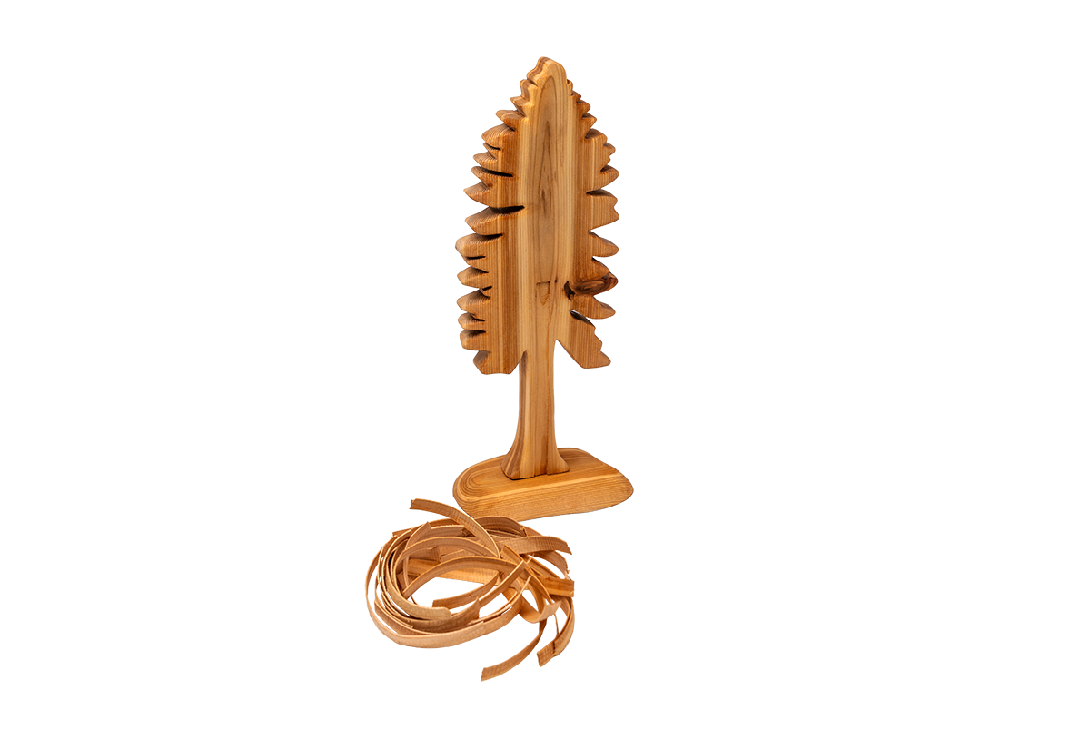 Cedar Tree - Cedar Bark Pulling