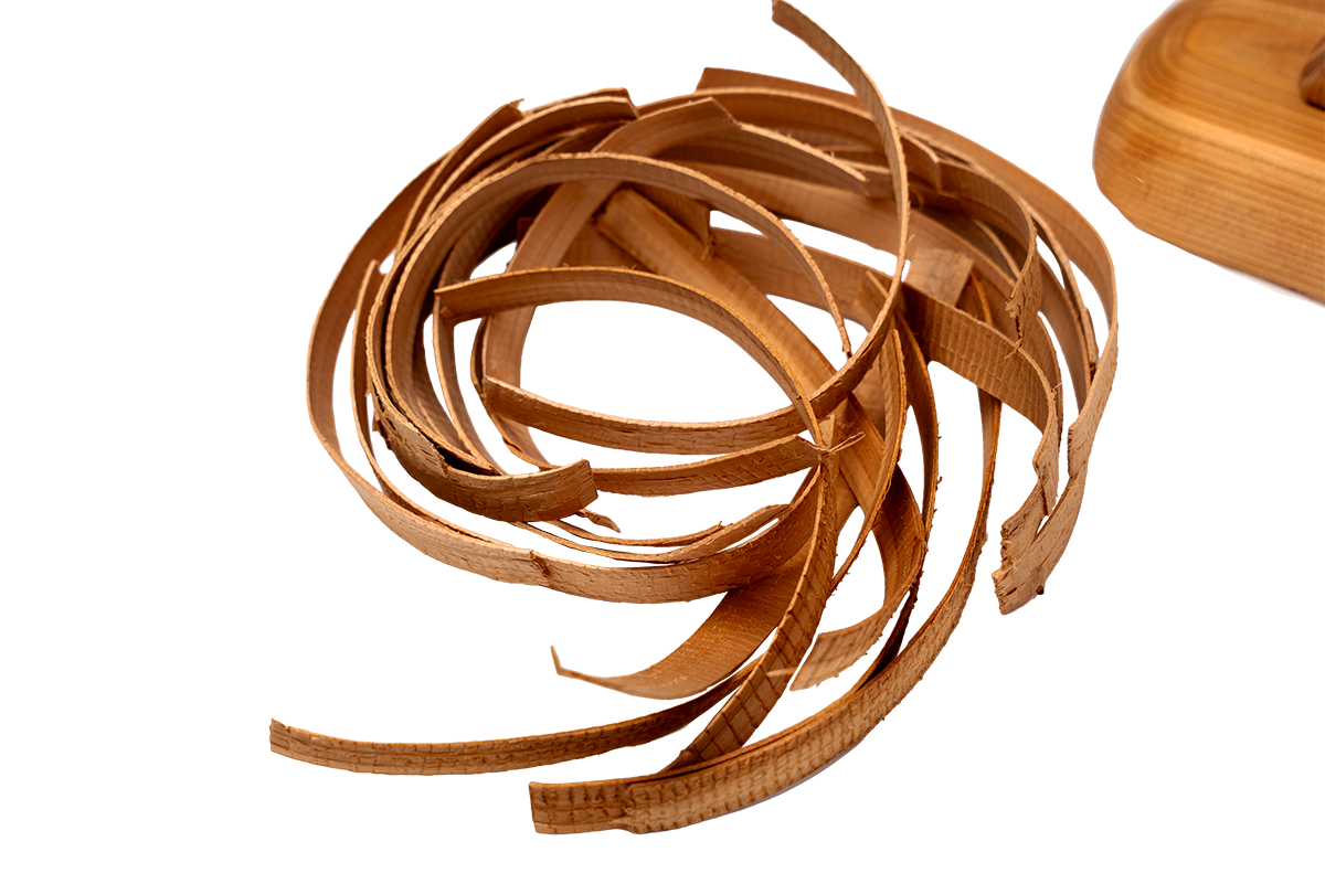 Cedar Tree - Cedar Bark Pulling