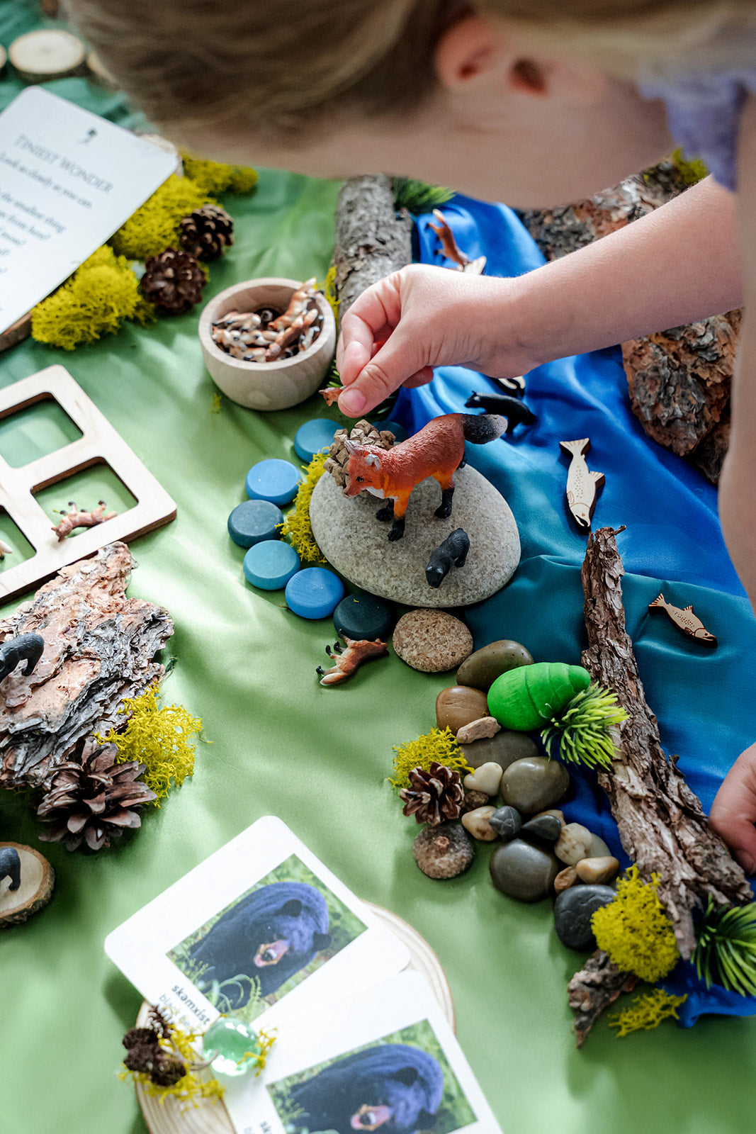 Forest Invitation to Play | A Framework for Living Curriculum