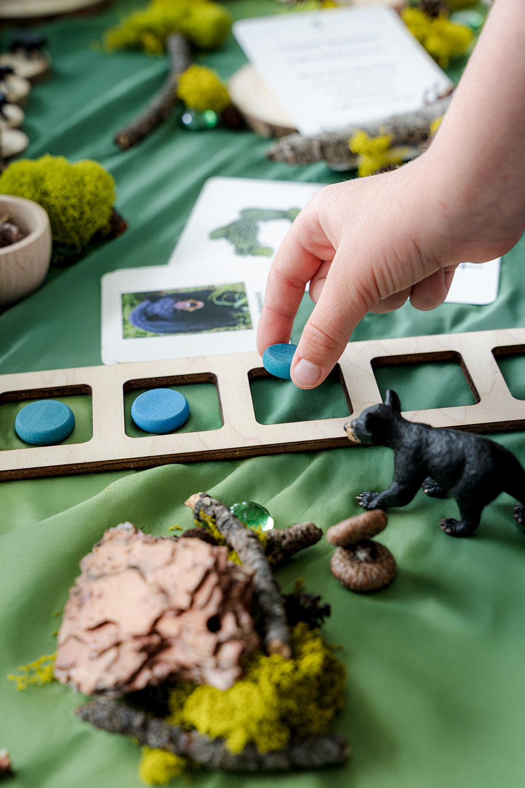 Forest Invitation to Play
