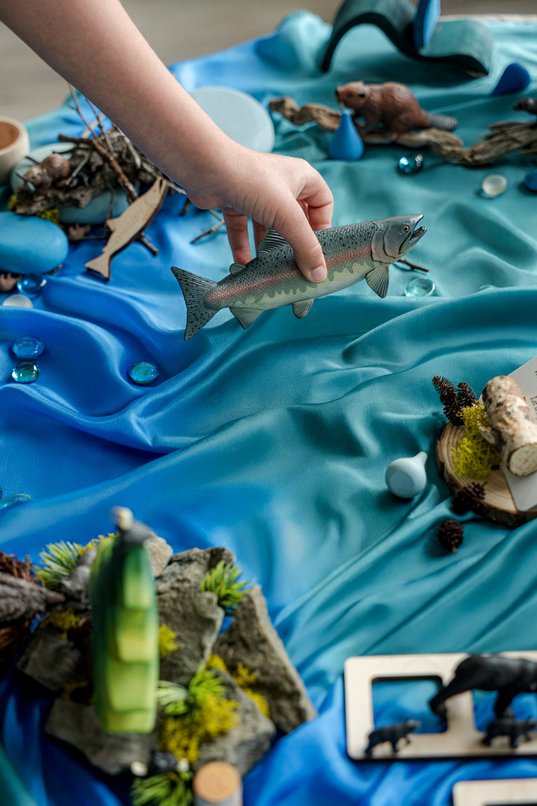 Freshwater Invitation to Play | A Framework for Living Curriculum