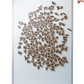 Living Language Alphabet, Magnetic