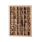 Living Language Alphabet