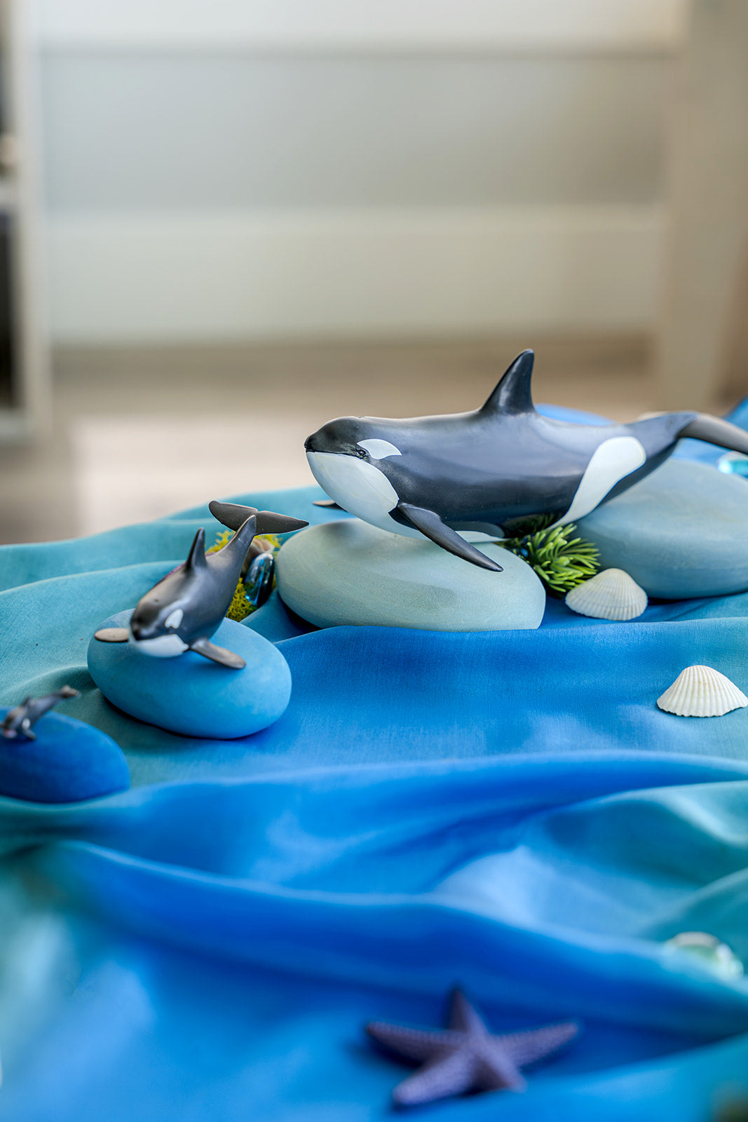 Ocean Invitation to Play | A Framework for Living Curriculum