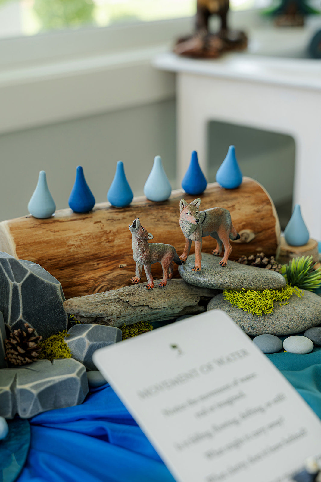 Ocean Invitation to Play | A Framework for Living Curriculum