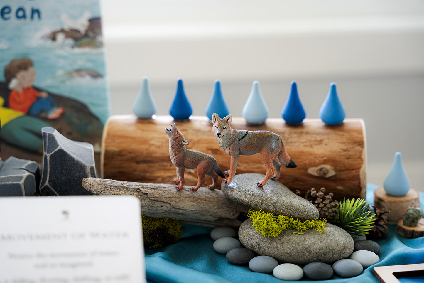 Coastal Waters Invitation to Play