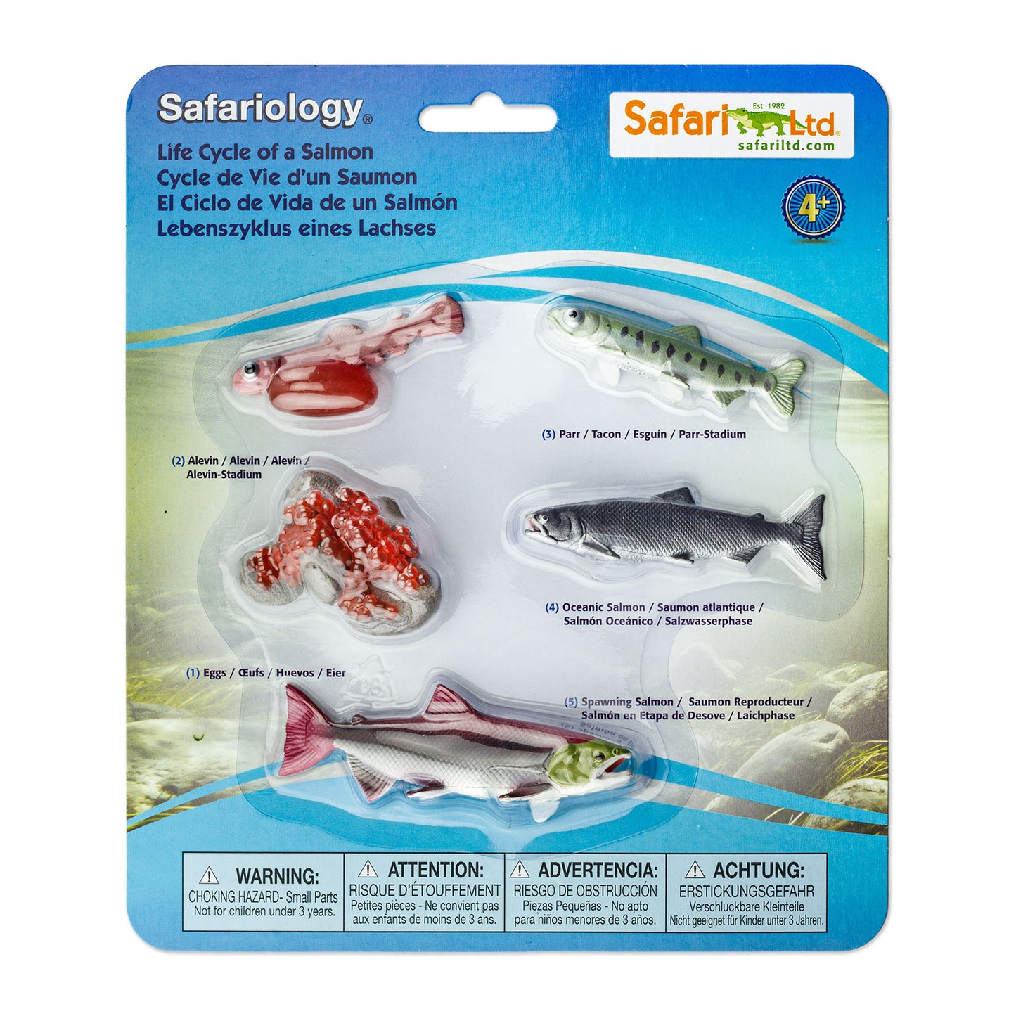 Salmon Life Cycle by Safari Ltd.